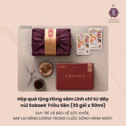 Nước Uống Hồng Sâm The Plus 50ml x 20 Gói