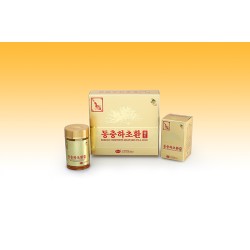Viên Đông Trùng Hạ Thảo Hàn Quốc - Korean Cordyceps Militaris Pill Gold 100g x 2 Lọ
